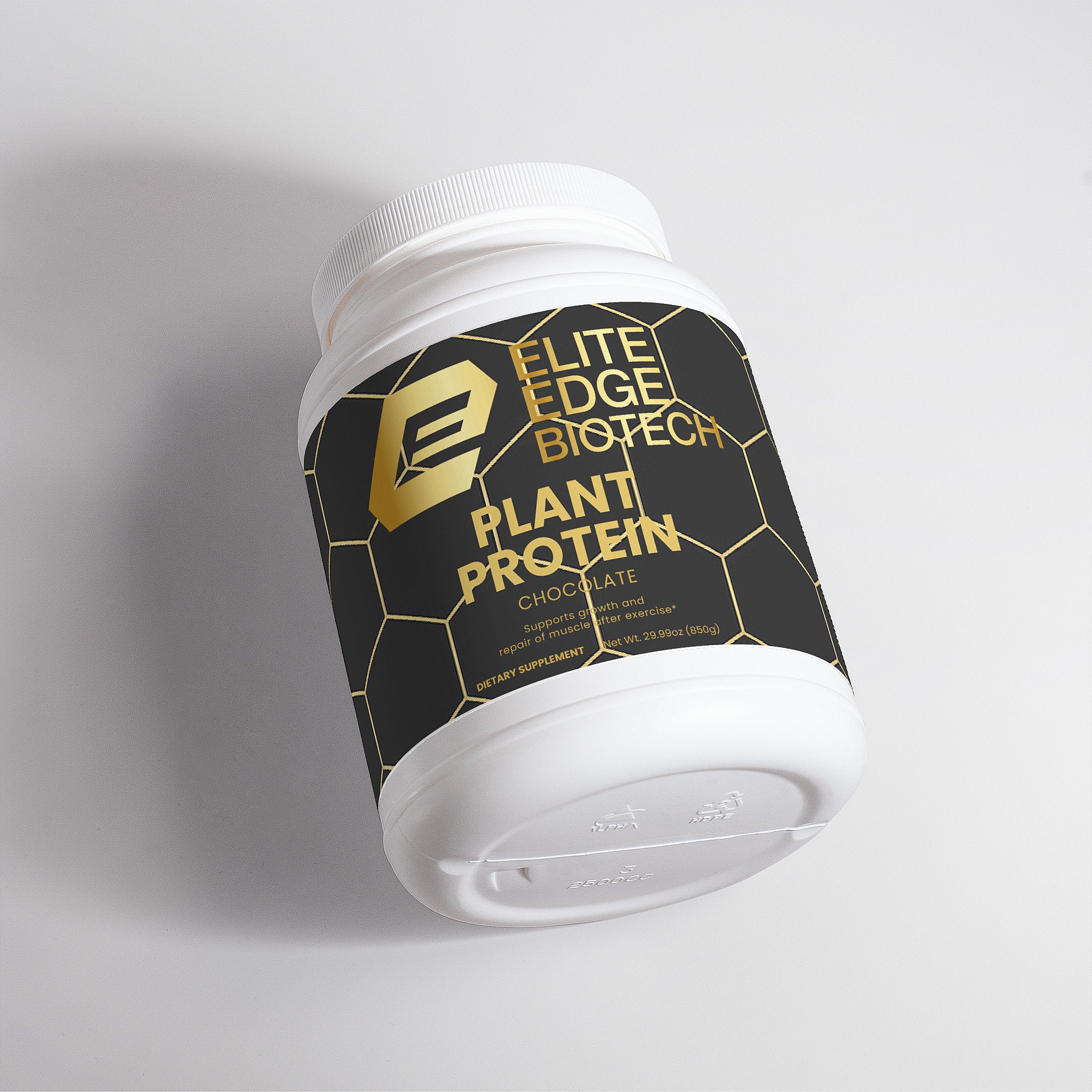 Plant Protein Powder (Chocolate) | 21g Complete Vegan Protein for Muscle Recovery, Energy & Lean Nutrition | Dairy-Free, Soy-Free, Gluten-Free | Rich Chocolate Flavor